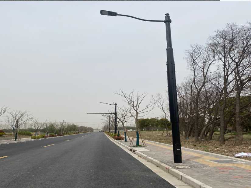 涪城区上海综合杆 太阳能路灯工程
